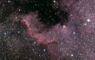 Ngc7000